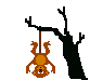 Vieux singe Vieux singe